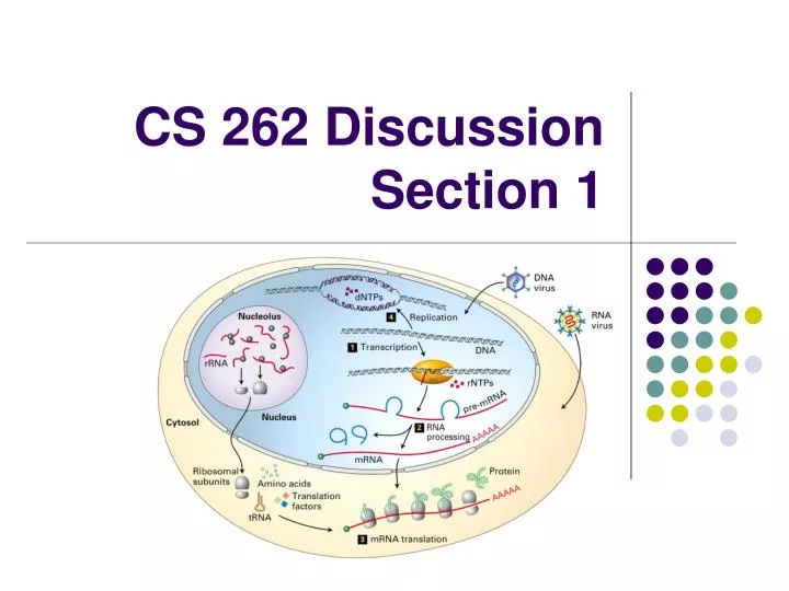 cs 262 discussion section 1