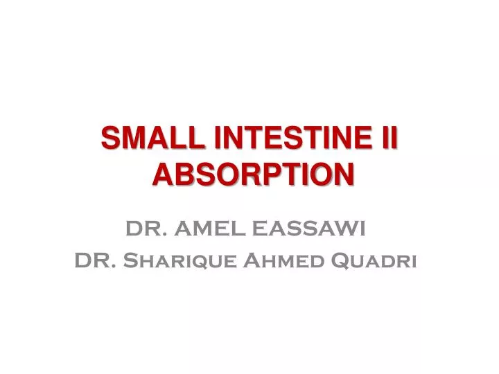 small intestine ii absorption