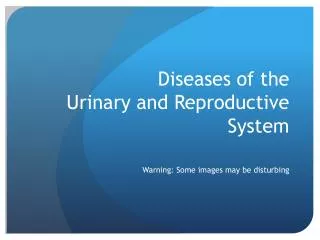 Diseases of the Urinary and Reproductive System
