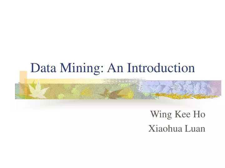 data mining an introduction