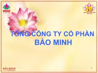 t ng c ng ty c ph n b o minh