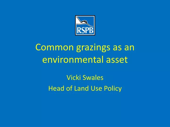 common grazings as an environmental asset