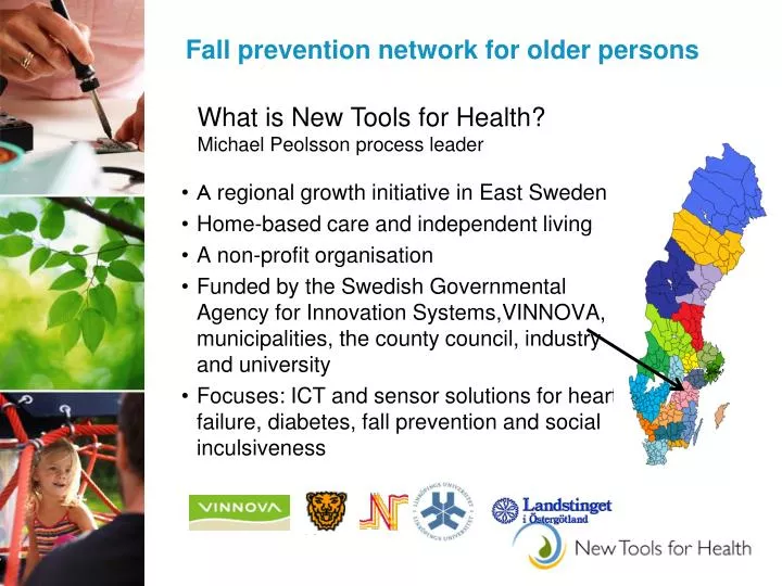 fall prevention network for older persons