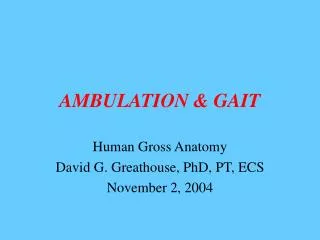 ambulation gait