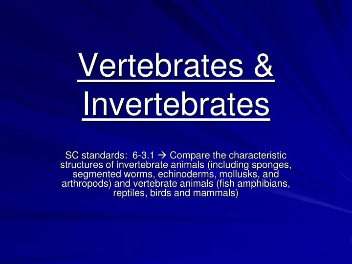 vertebrates invertebrates