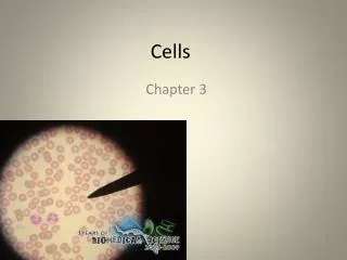 Cells