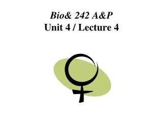 Bio&amp; 242 A&amp;P Unit 4 / Lecture 4