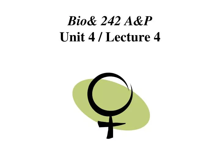 bio 242 a p unit 4 lecture 4