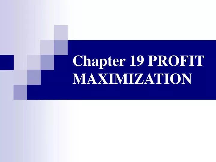 chapter 19 profit maximization