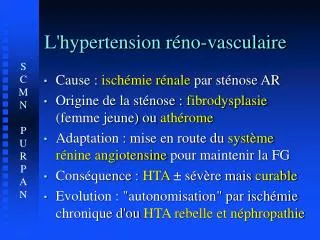 l hypertension r no vasculaire