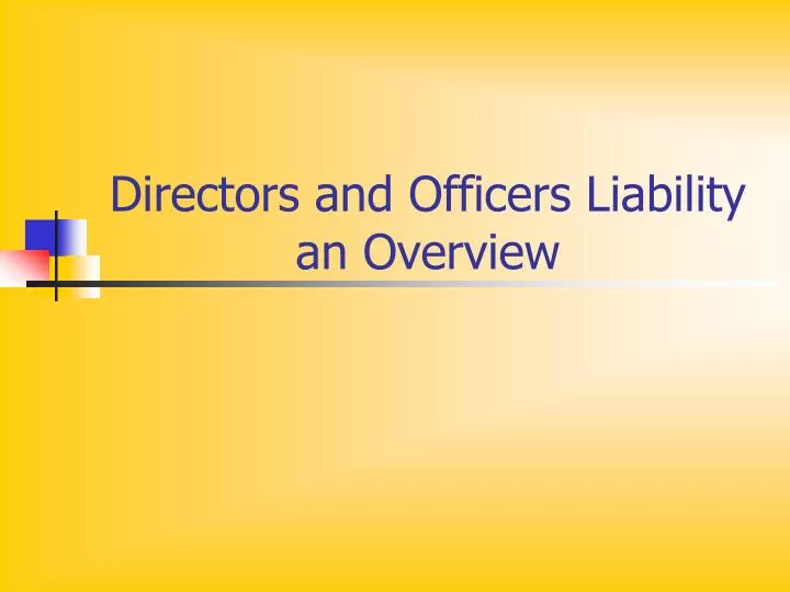 directors and officers liability an overview