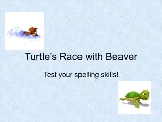 turtle s race with beaver