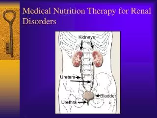Medical Nutrition Therapy for Renal Disorders