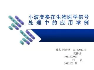1013202016 1013202023 2012202159