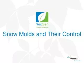 Snow Molds and Their Control
