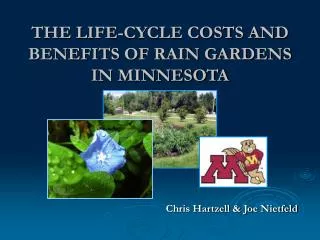 THE LIFE-CYCLE COSTS AND BENEFITS OF RAIN GARDENS IN MINNESOTA