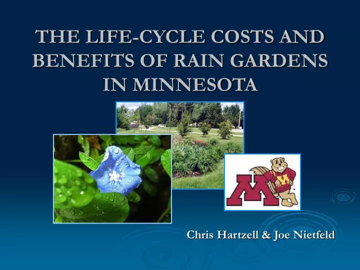 the life cycle costs and benefits of rain gardens in minnesota