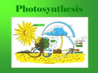 Photosynthesis