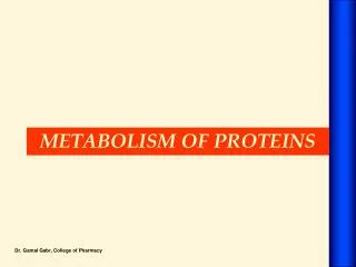 Metabolism of Proteins