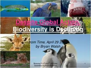Despite Global Action, Biodiversity is Declining from Time, April 29 2010 by Bryan Walsh