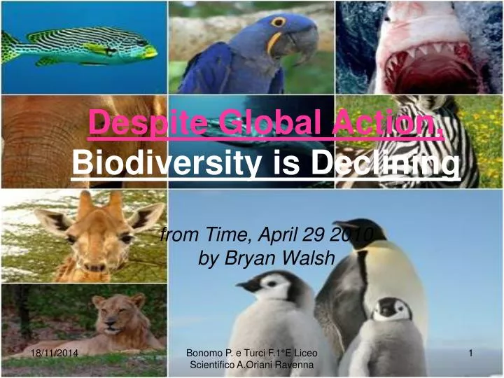 despite global action biodiversity is declining from time april 29 2010 by bryan walsh