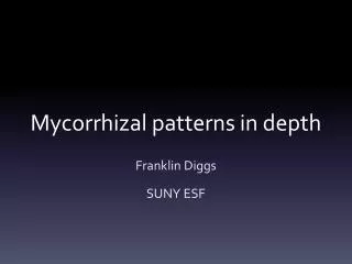 Mycorrhizal patterns in depth