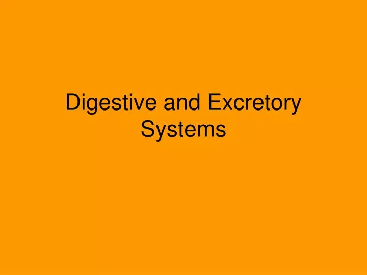 digestive and excretory systems