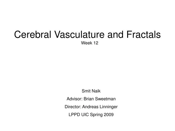 cerebral vasculature and fractals