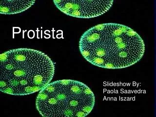 Protista