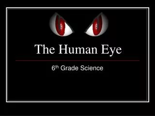 The Human Eye