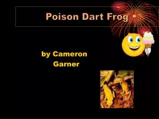 Poison Dart Frog