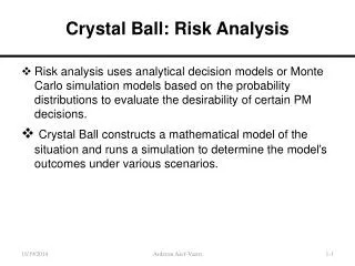 Crystal Ball: Risk Analysis