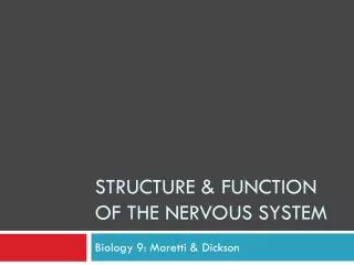 Structure &amp; Function of the Nervous System