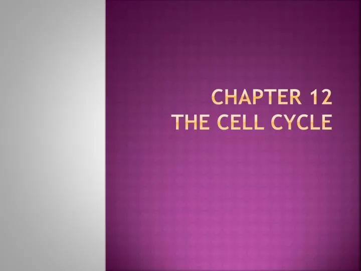 chapter 12 the cell cycle