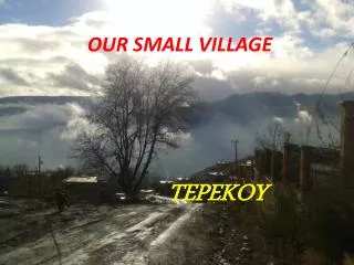OUR SMALL VILLAGE