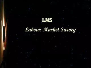 Labour Market Survey