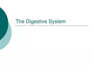 The Digestive System