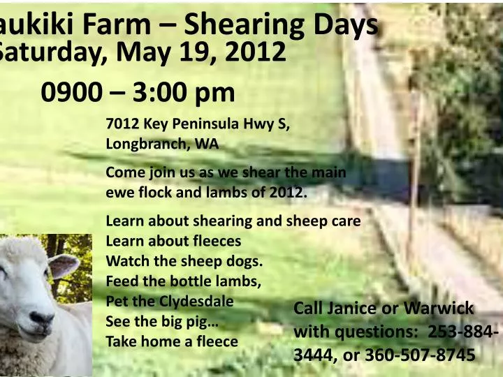 kaukiki farm shearing days