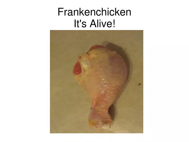 frankenchicken it s alive