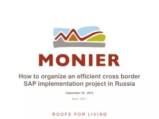 how to organize an efficient cross border sap implementation project in russia