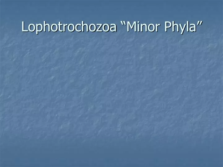lophotrochozoa minor phyla
