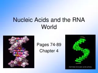 Nucleic Acids and the RNA World