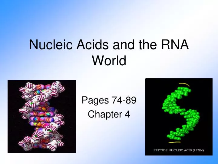 nucleic acids and the rna world