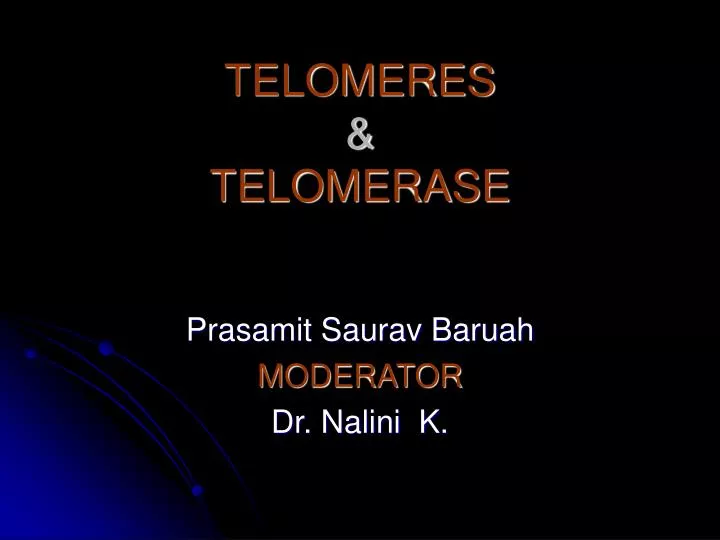 telomeres telomerase