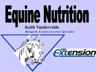 Equine Nutrition