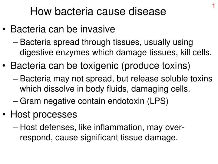 how bacteria cause disease