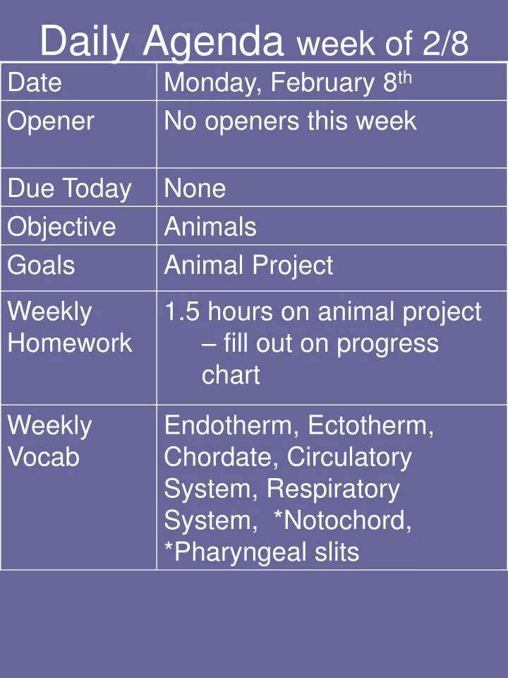 daily agenda week of 2 8