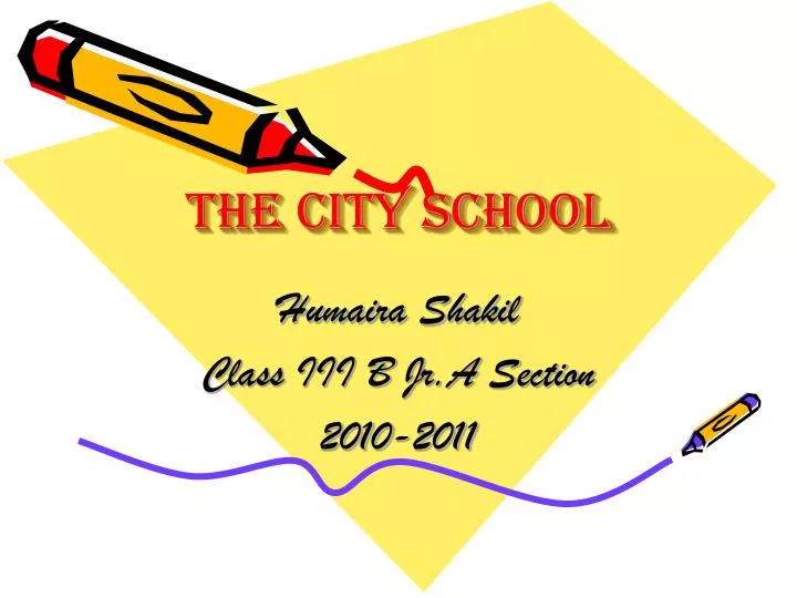 the city school
