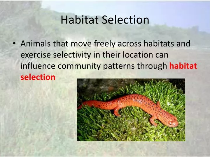 habitat selection