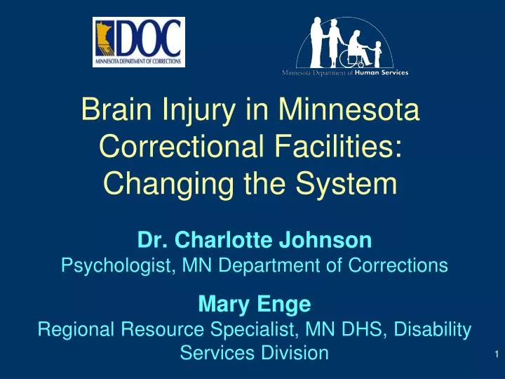 brain injury in minnesota correctional facilities changing the system